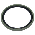 Spgo Seal for Excavator Hydraulic Cylinder